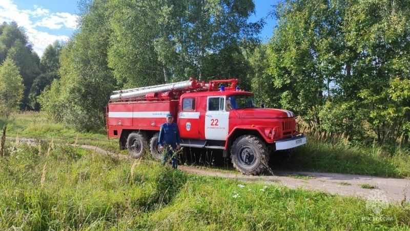 В Орловской области сутки искали потерявшуюся в лесу пожилую грибницу