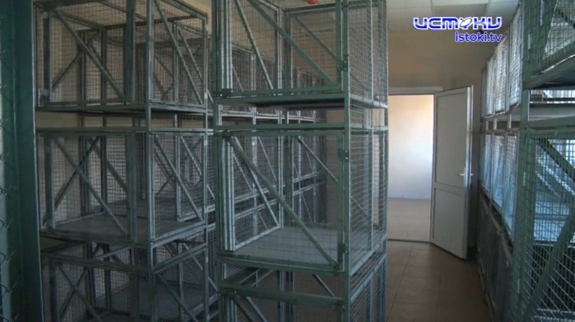 Приют-лабиринт за 40 миллионов: Орловские бездомные животные так и не дождутся обещанного рая?