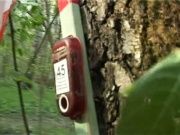 Спортивный калейдоскоп 4 мая 2014