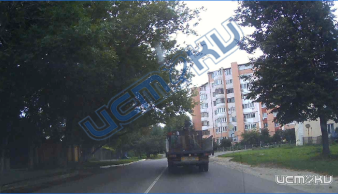 Ветки большого дерева скоро упадут на проезжую часть на улице Веселая слобода