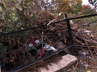 С кладбищ стали разгребать мусор или насколько продолжителен этот эффект 