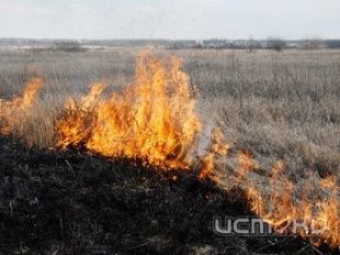 Увеличение пожаров. Снова начали жечь сухую траву 