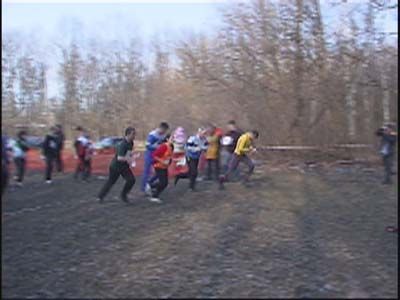 В Орле начались соревнования по ориентированию