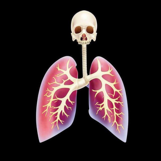 Орловский медик советует жителям региона как бросить курить