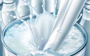 В орловском молоке нашли кишечную палочку