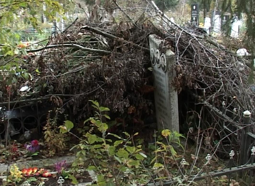 Держим обещания?!