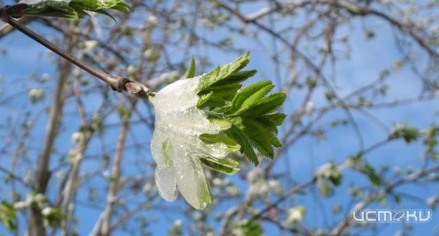 Воскресенье будет холодным