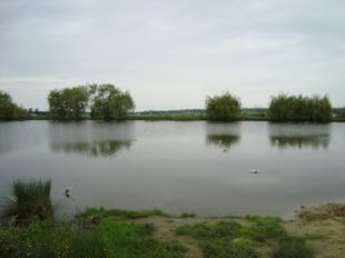 Жительница Глазуновского района спасла жизнь пятилетнему мальчику