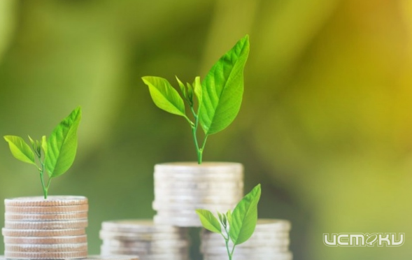 В Орле стартовал конкурс на предоставление субсидий НКО