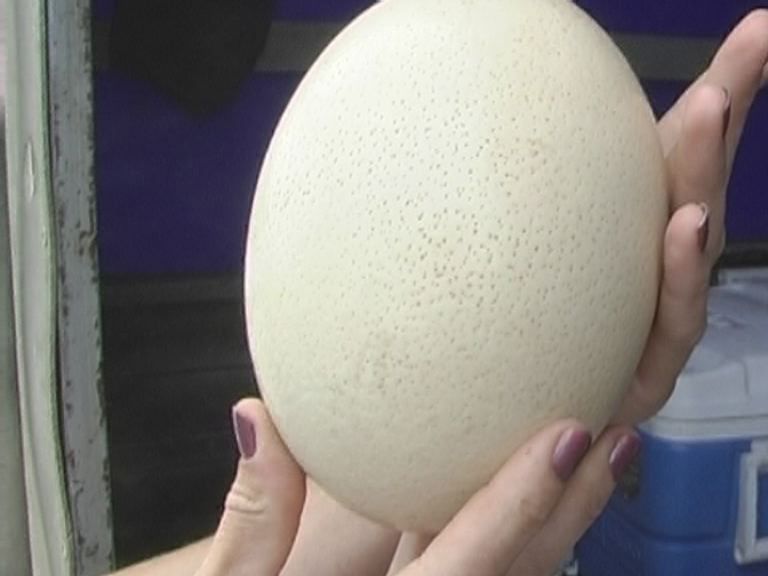 Утилизация ценой в более чем 140тысяч рублей