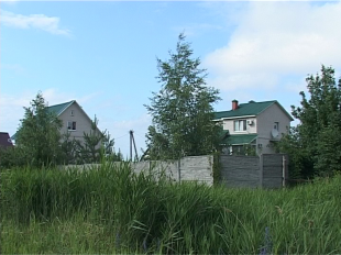 Дорога домой. Жители деревни Коневка борются за привычную тропинку