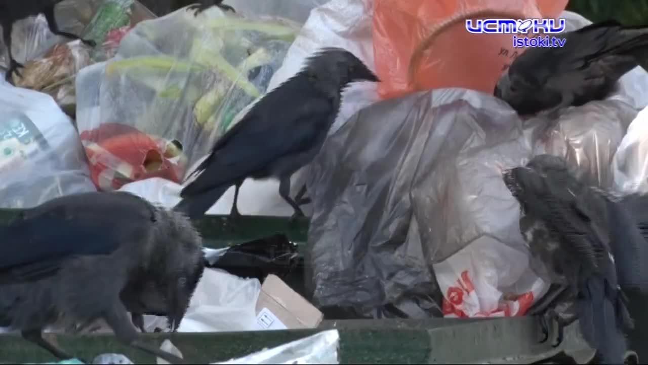 Дарвина дом 6