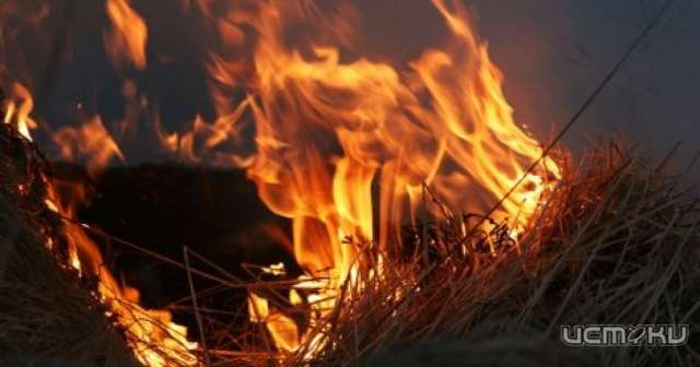 В Покровском районе пламя охватило сено и солому в коровнике