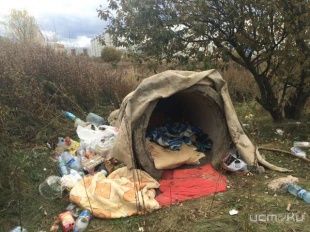 Скрывался в трубе с кефиром и сканвордами. Найден убийца студентки 