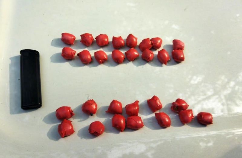 В Орле задержали иностранца с крупной партией героина