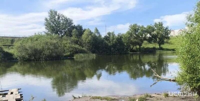В Орле на Силикатном пруду произошла трагедия на воде