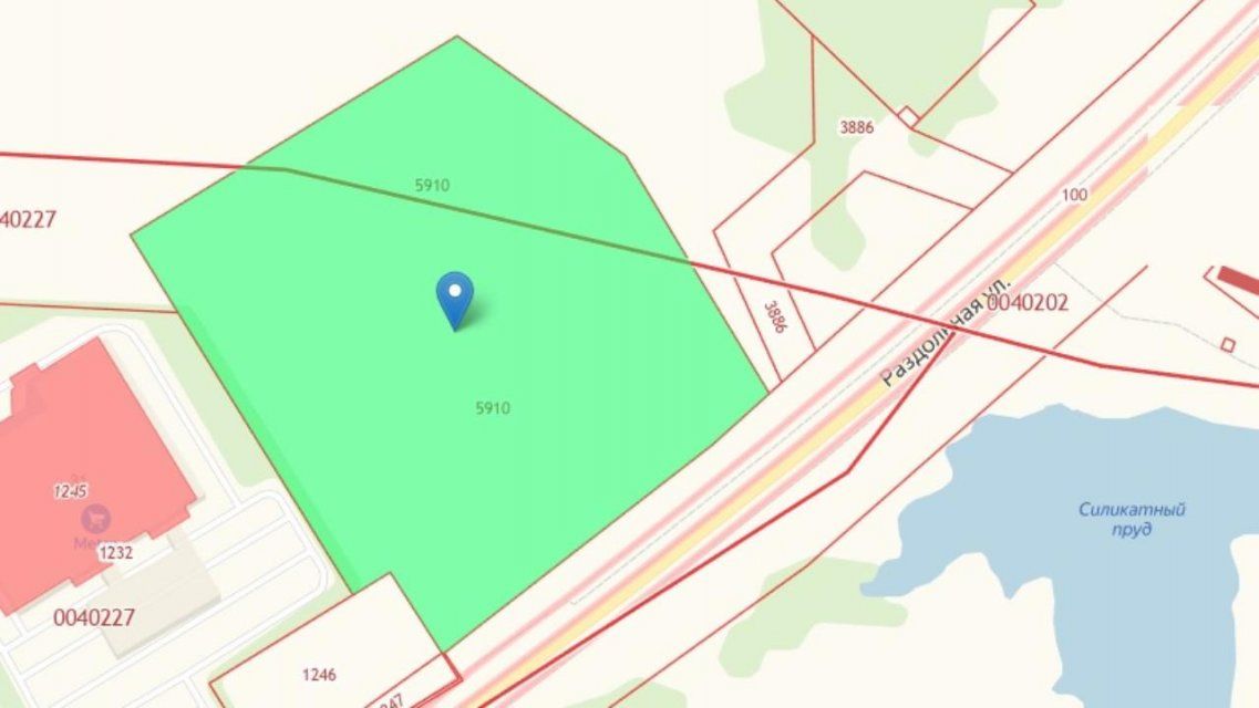 Перед строительством гипермаркета «Леруа Мерлен» в Орле вырубят 435 деревьев