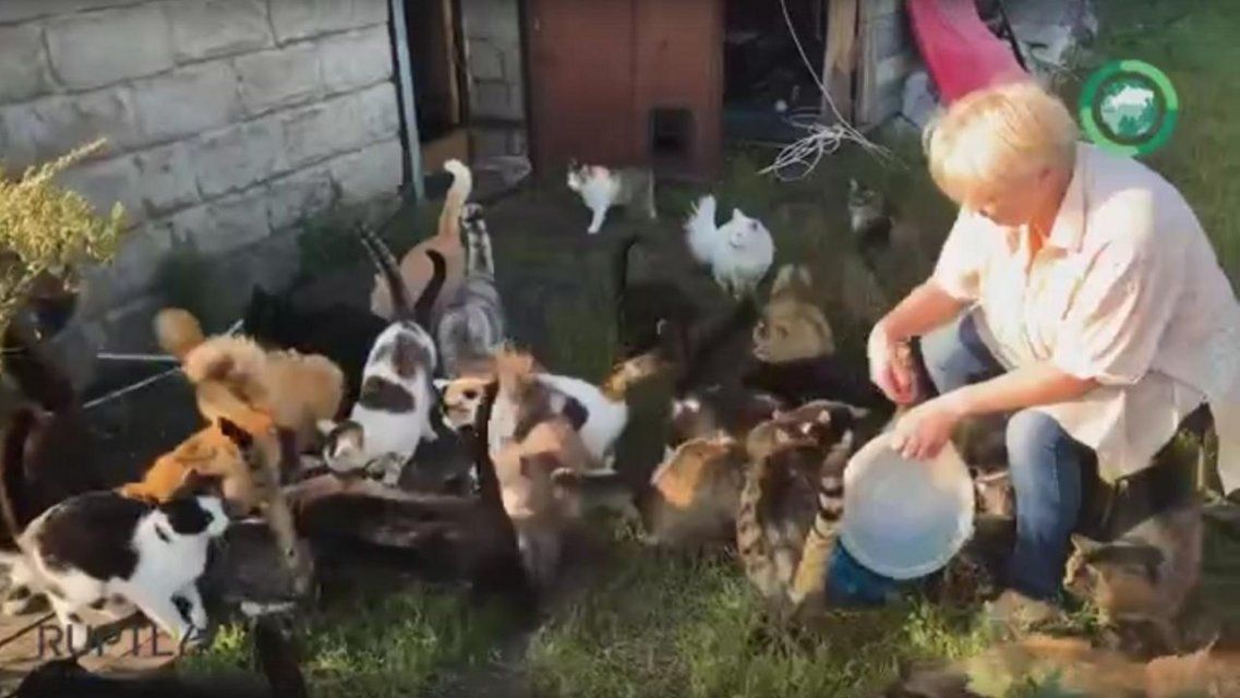 Орловчанка с большим сердцем создала приют для животных-инвалидов