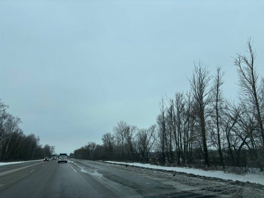 В ближайшие сутки на Орловщине синоптики передают сильный снег и усиление ветра до 18 м/с