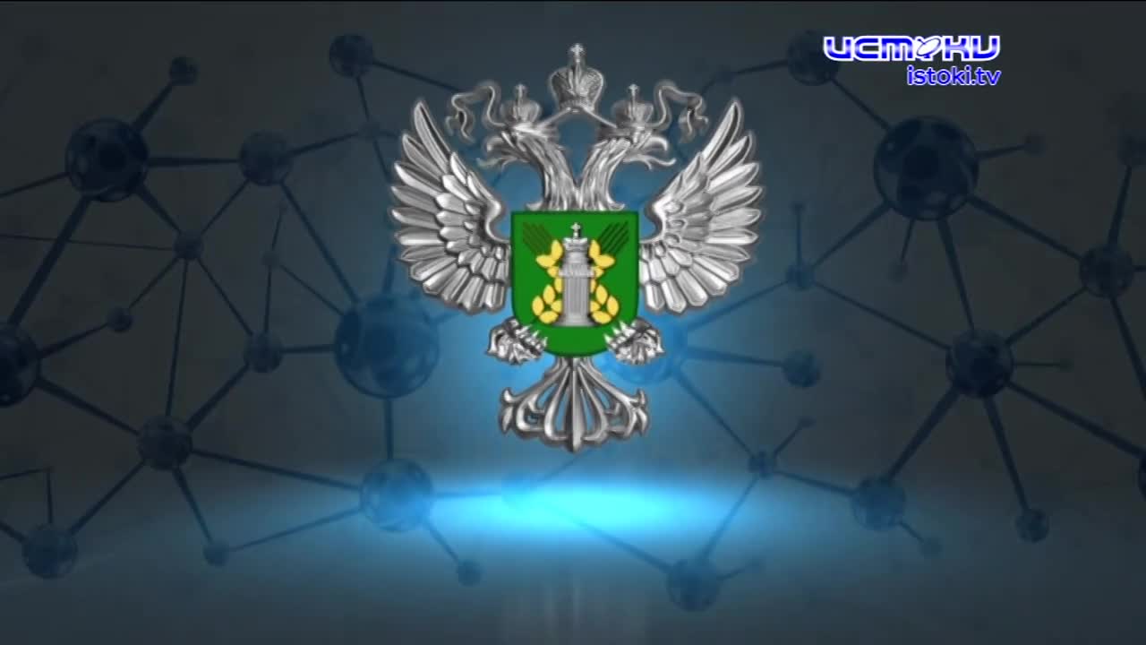 Экспертное мнение 28.03.2024