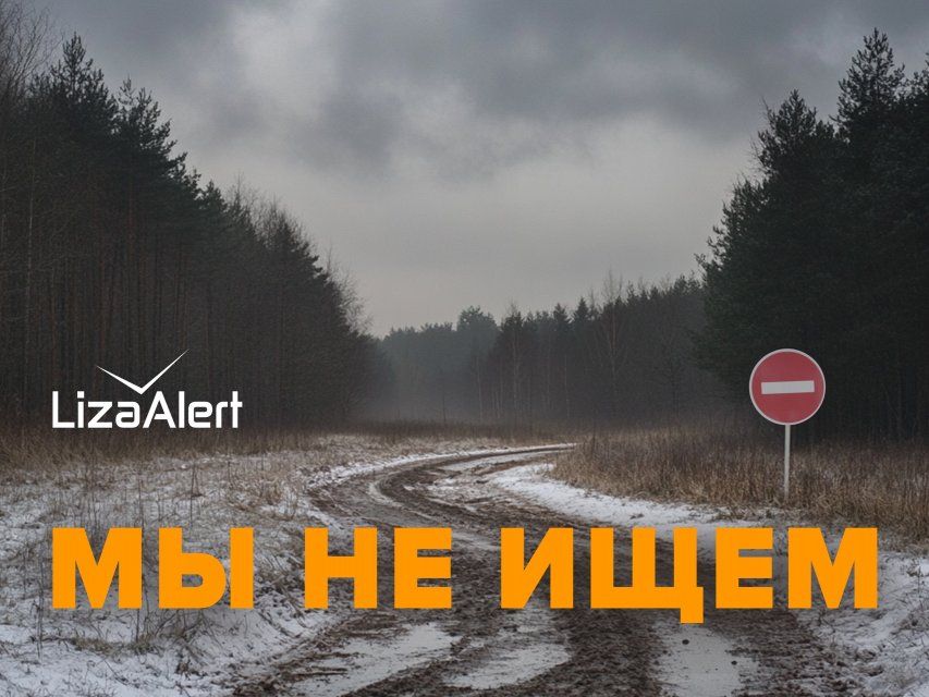 Поисковики рассказали, кого они не берутся искать