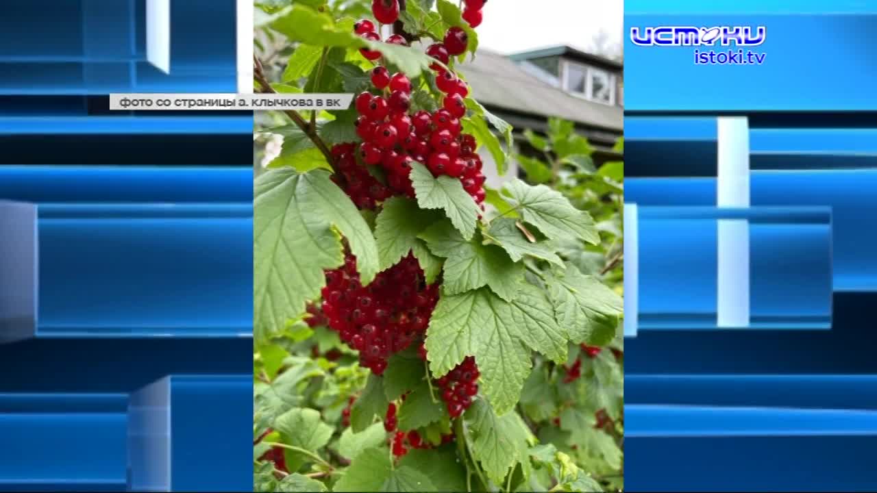 Уже соскучились. После трехнедельного отпуска губернатор области вернулся в Орел и провел традиционный эфир в соцсетях. Орловчане увидели главу в ново...