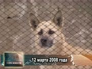 Ретро новости 12.03