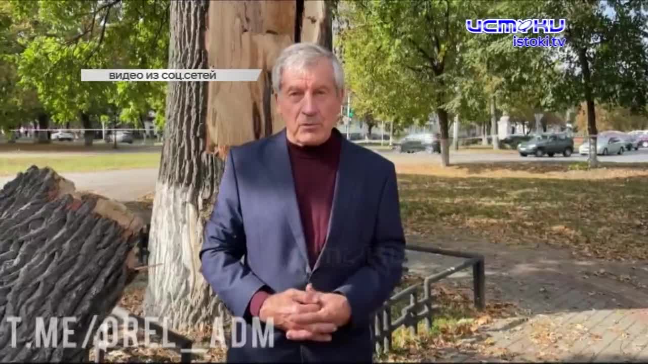 Быть или не быть? Вот в чем вопрос, который сейчас судьбоносен для старинного дуба на Бульваре Победы. Московские специалисты приехали разбираться