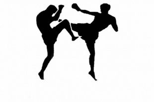 Орел узнал имена участников международного турнира по кикбоксингу AСB KB-5