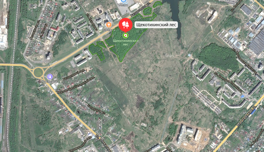 Подарок размером в 13,2 га: Орлу передали землю под дома и школы