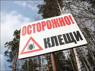 Клещи все еще опасны