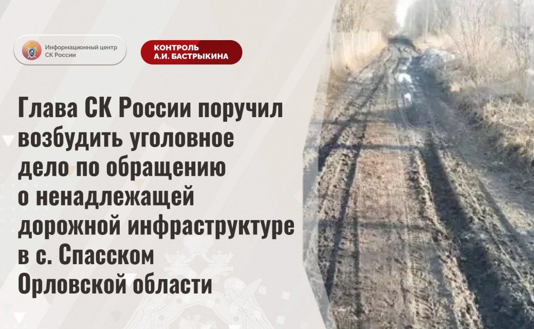 Бастрыкин поручил возбудить уголовное дело из-за состояния дороги в селе под Орлом