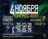 Лебединое Озеро+Буратино