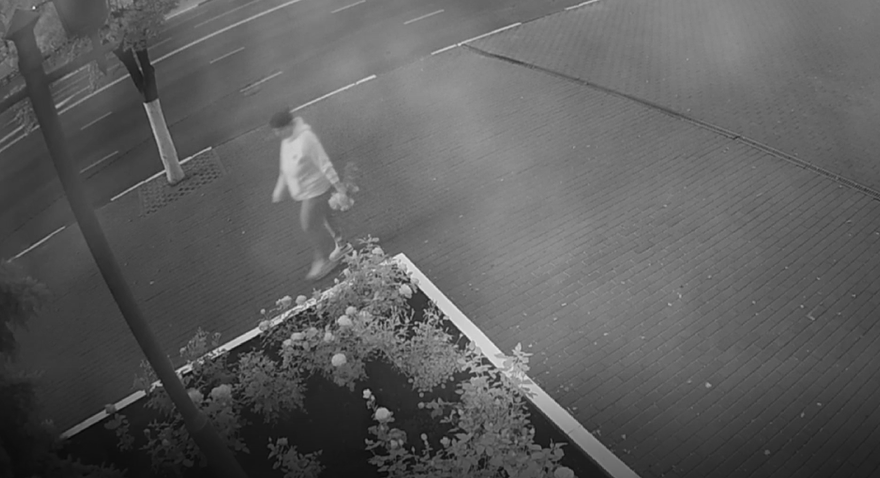 После ночной прогулки орловчанки в центре города поредела клумба