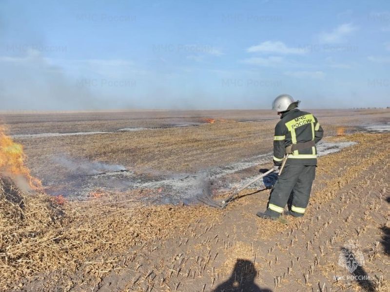 Шесть термоточек подтвердились в Орловской области