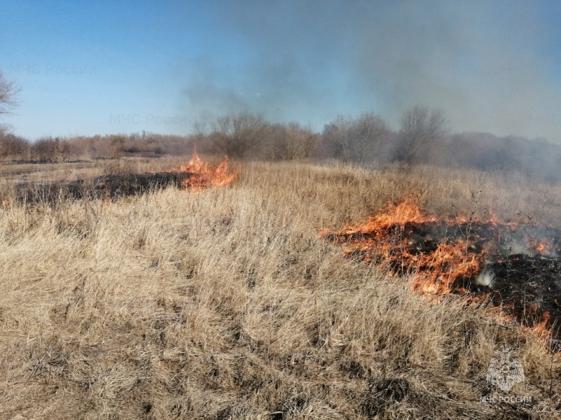 Орловские спасатели за выходные совершили 97 выездов 