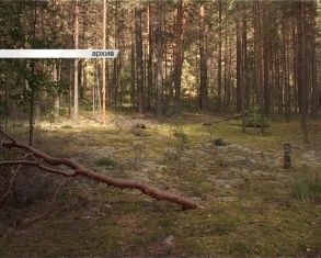 В национальном парке "Орловское полесье" незаконно вырубают лес 