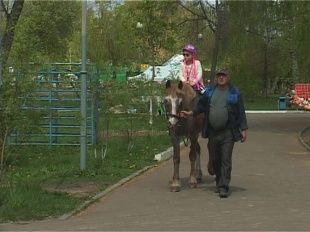 "Праздничный Орел отдыхает!" 