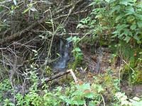 Святой источник Елизаветы