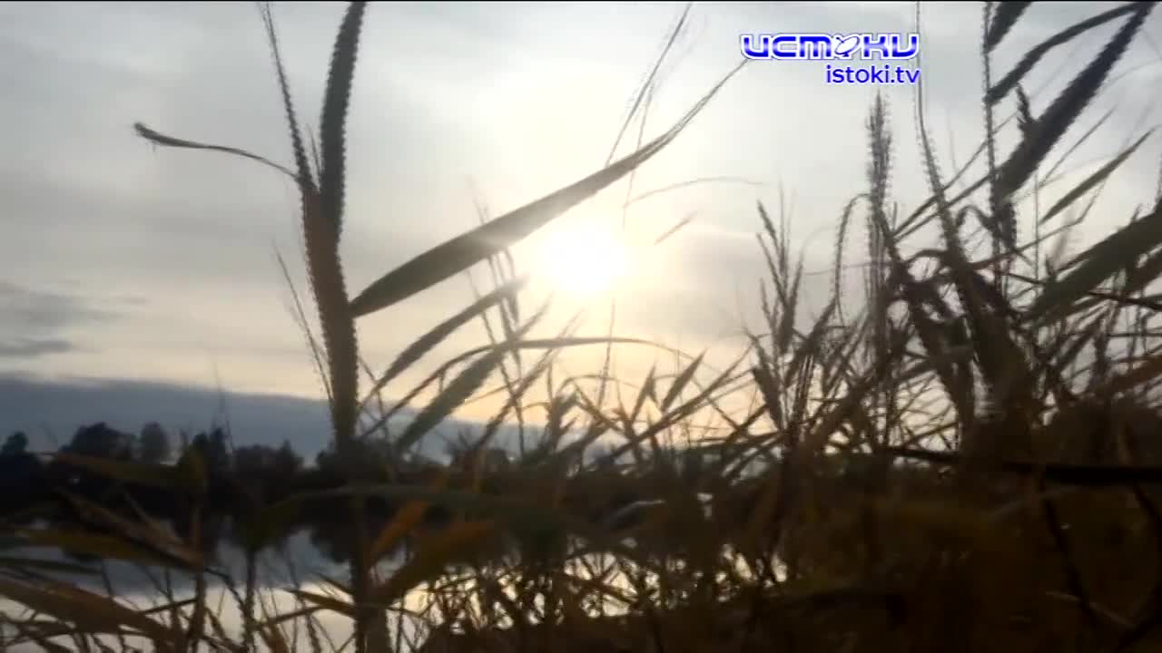 Велосипедист опубликовал видео тротуарной плитки, которая начала уходить под землю,