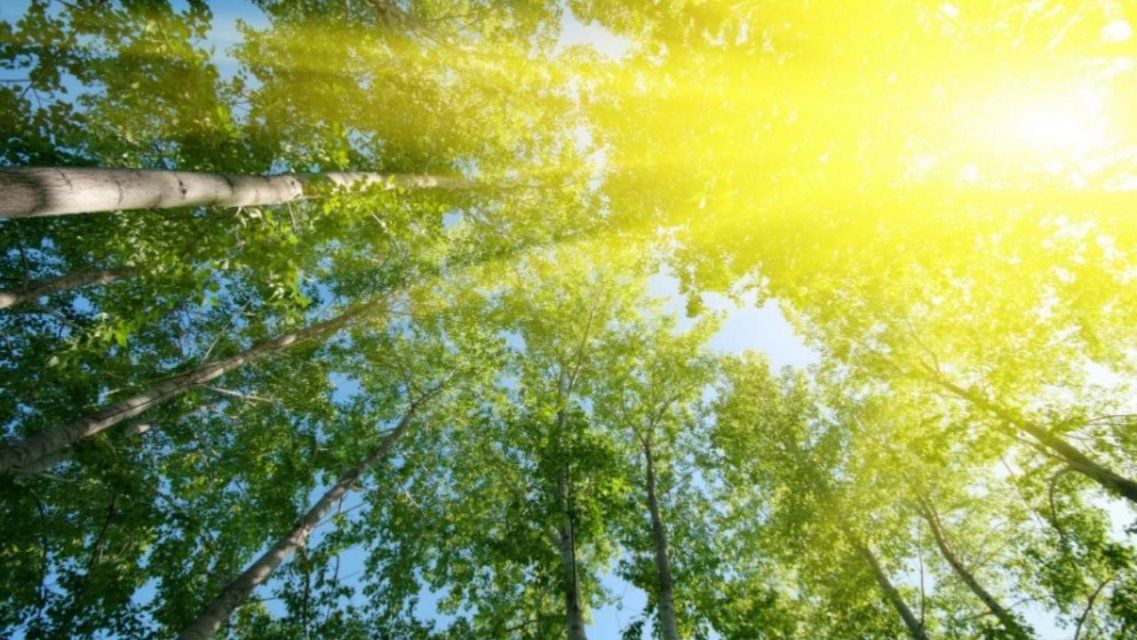 Четверг порадует орловчан весенним теплом