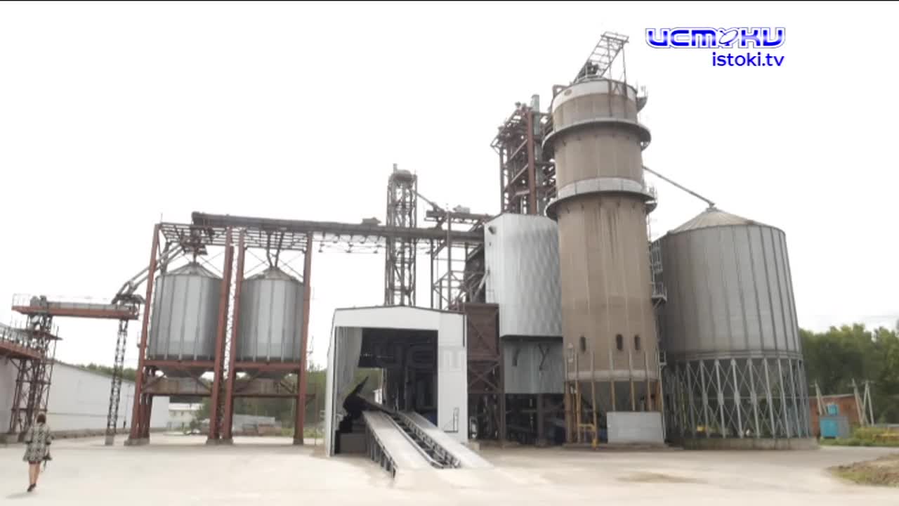 Экспертное мнение 15.01.2025