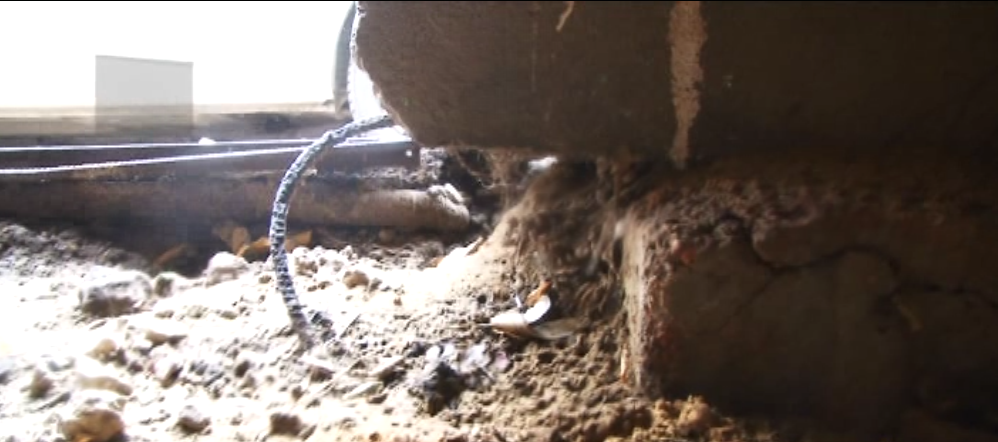 Горячий пар из подвала, отсюда - плесень, сырые обои и другие неприятности. Что происходит с многоэтажкой на Машкарина?