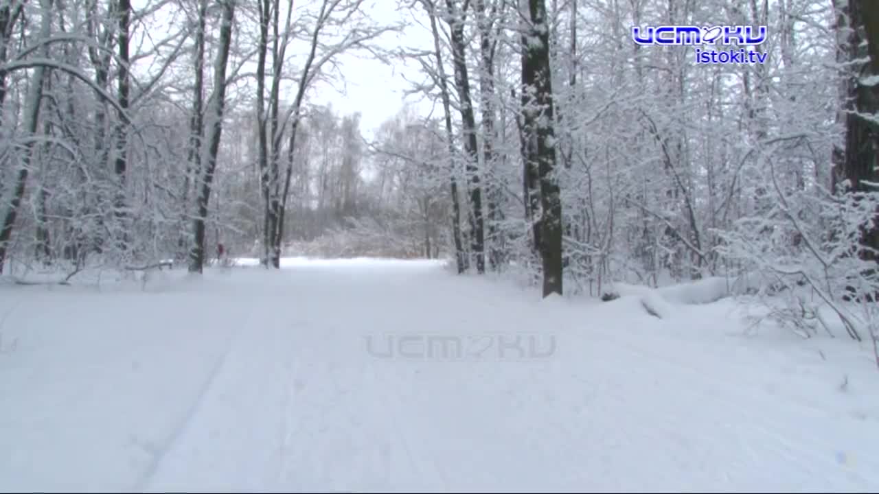 Лыжники - идите лесом. В декабре 2020 года опушку Медведевского леса облагородили, но удобств для любителей лыж в проекте не предусмотрели