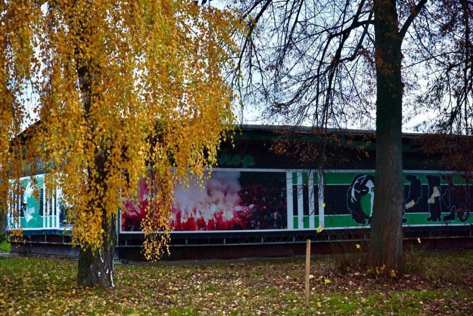 Легендарную орловскую «Стекляшку» заменят современным залом единоборств