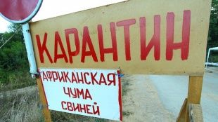 В Знаменском и Хотынецком районах установлен карантин по АЧС