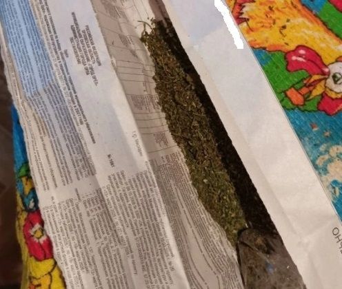 Орловчанин задержан за хранение марихуаны