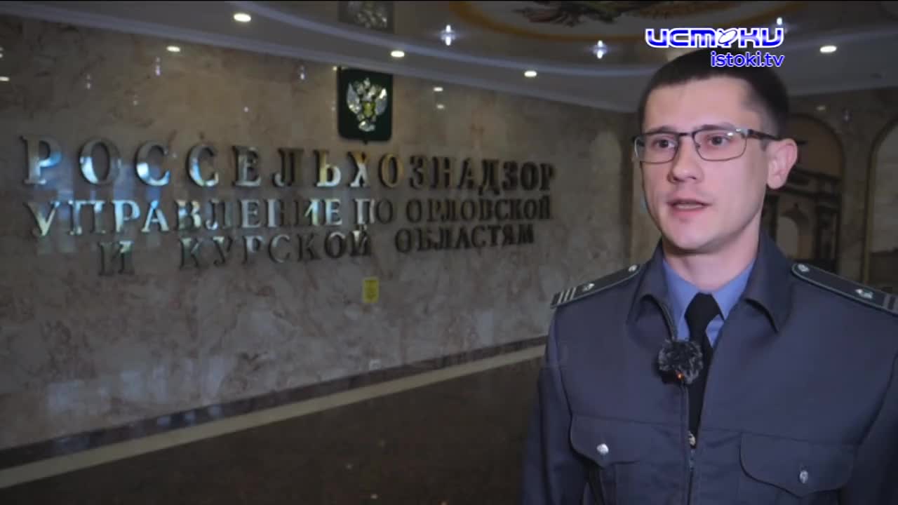 Экспертное мнение 16.10.2024