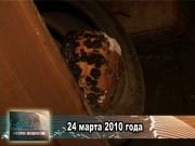 Ретро новости 24.03