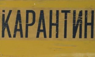 В Болхове сняли карантин по бешенству